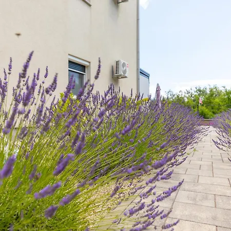 Gracia By El-pi Tours * Dobrinj