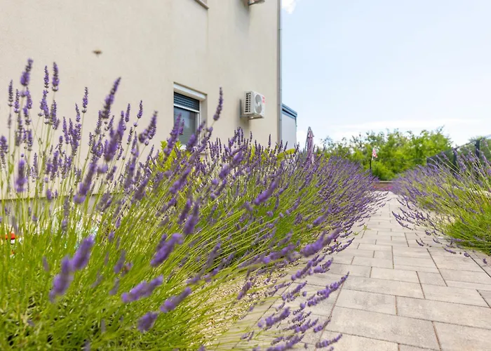 Gracia By El-pi Tours * Dobrinj